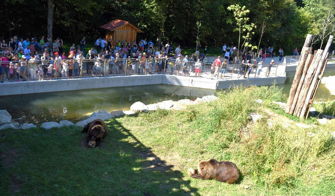 tierpark stadt haag photo 3