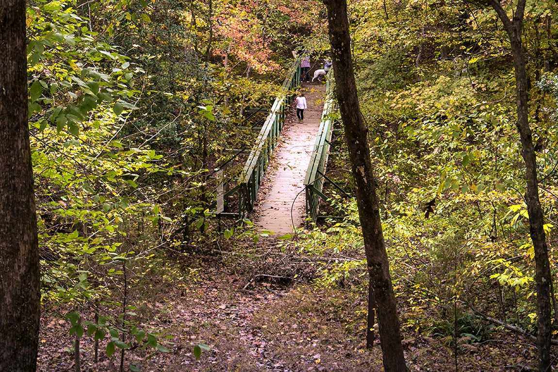 william b. umstead state park photo 5