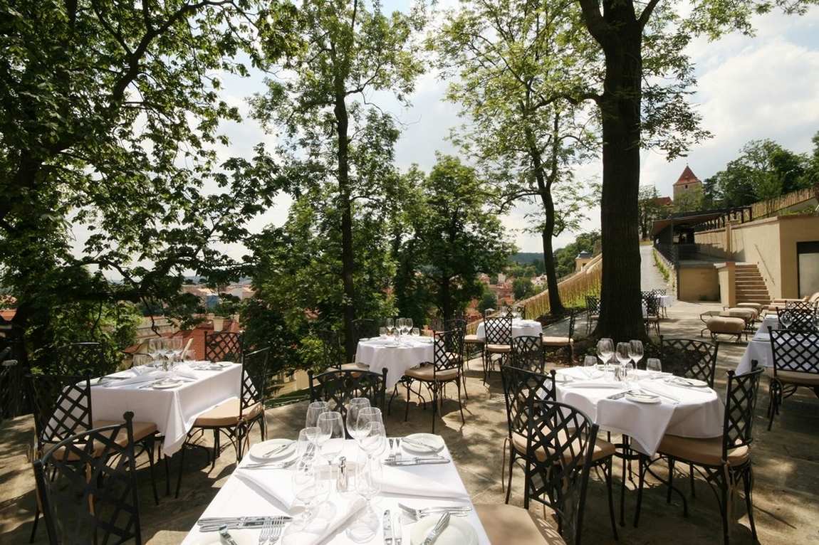 wenceslas vineyard photo 4