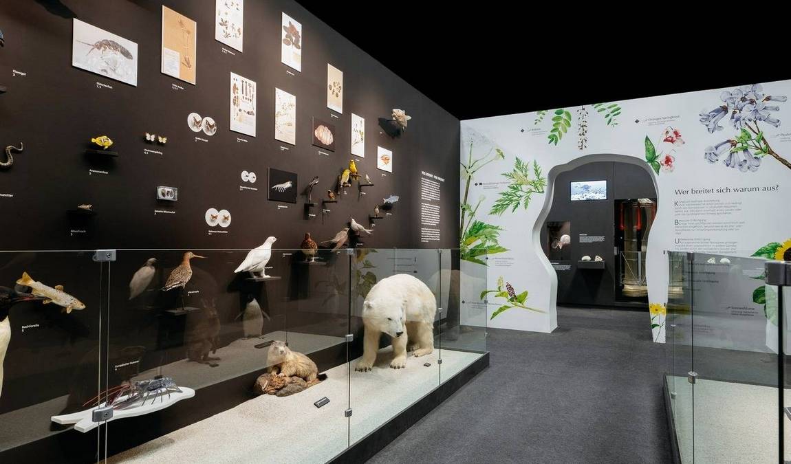 lwl museum of natural history with planetarium photo 6