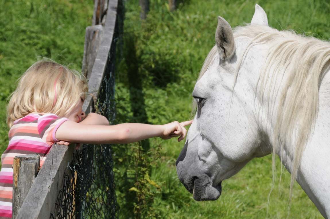 wildlife park untertauern photo 4