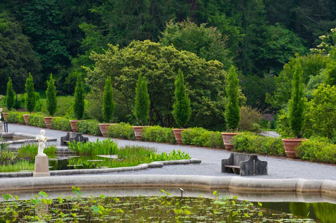 biltmore estate photo 2