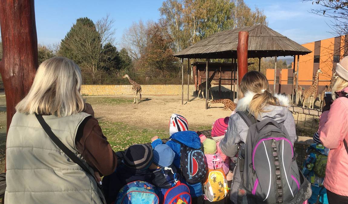 zoo dvur kralove photo 2