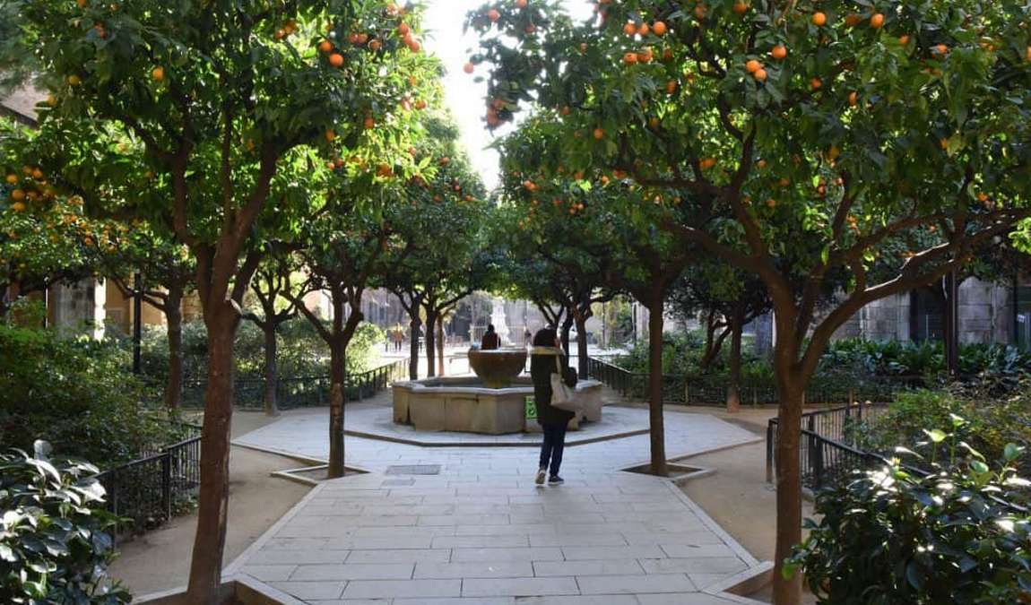 rubio i lluch gardens photo 2