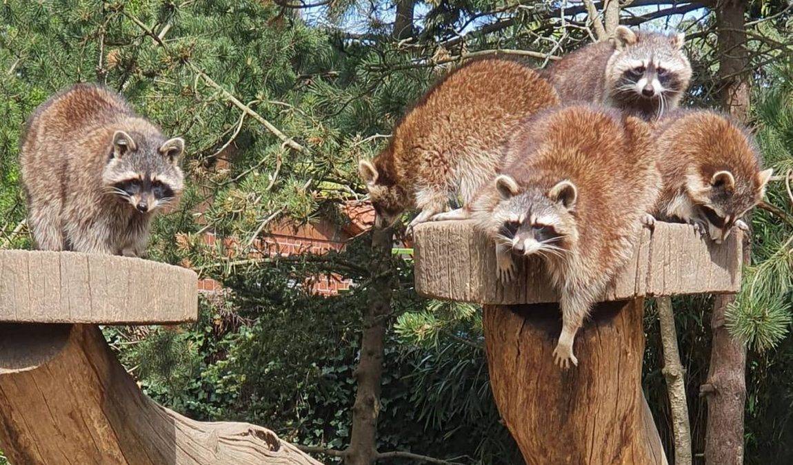 zoo braunschweig photo 1