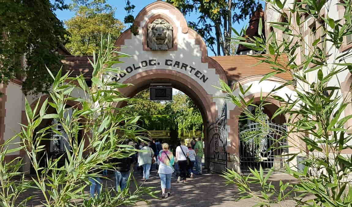 leipzig zoo photo 1