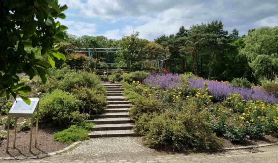 rhododendron park photo 6