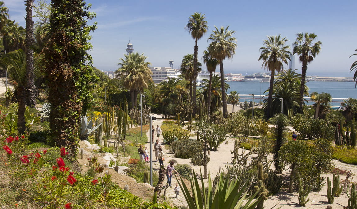 mossen costa i llobera gardens photo 5