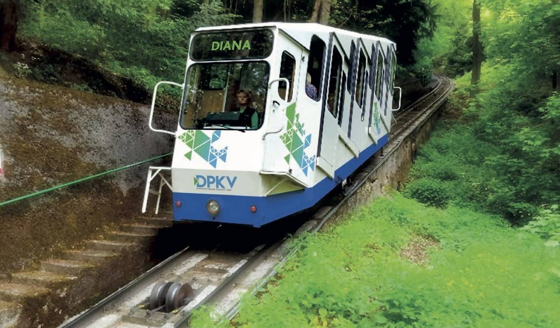 deer jump lookout photo 3