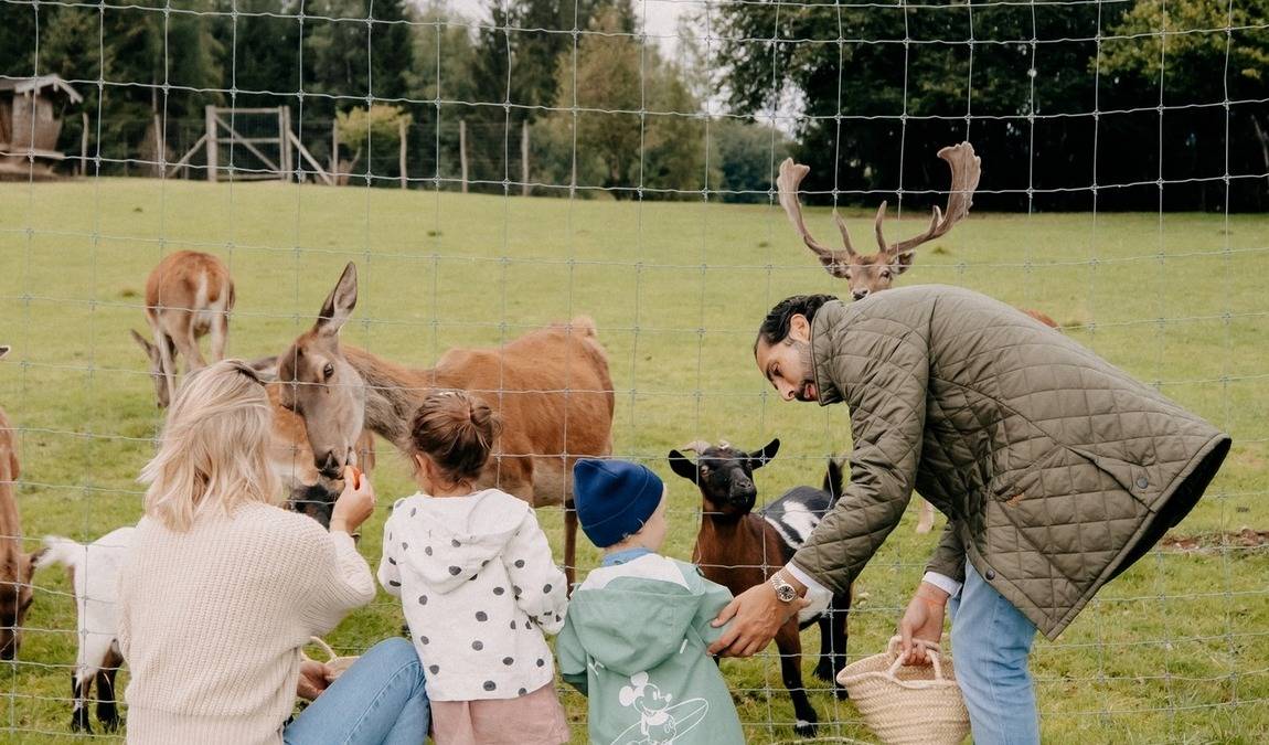 the minigut photo 1