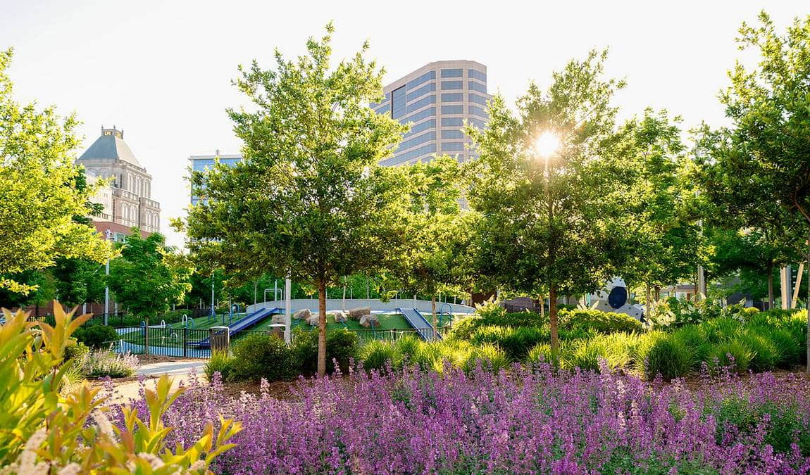 lebauer park photo 6