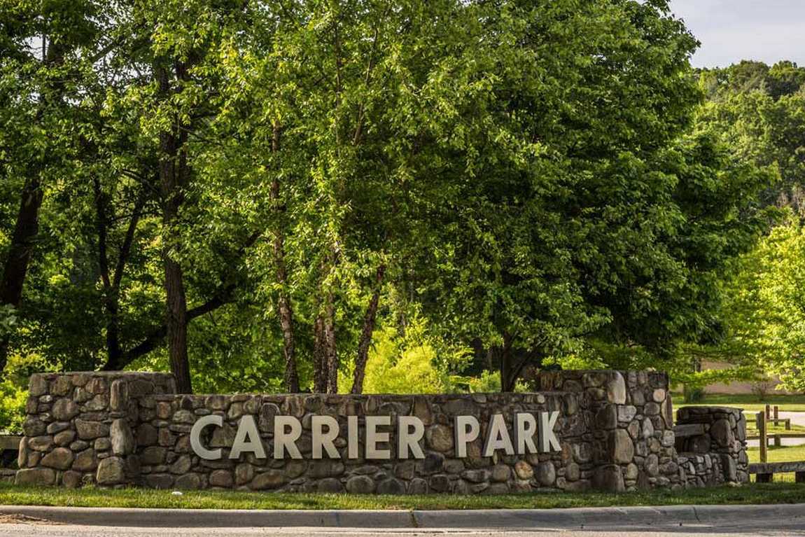 carrier park photo 1