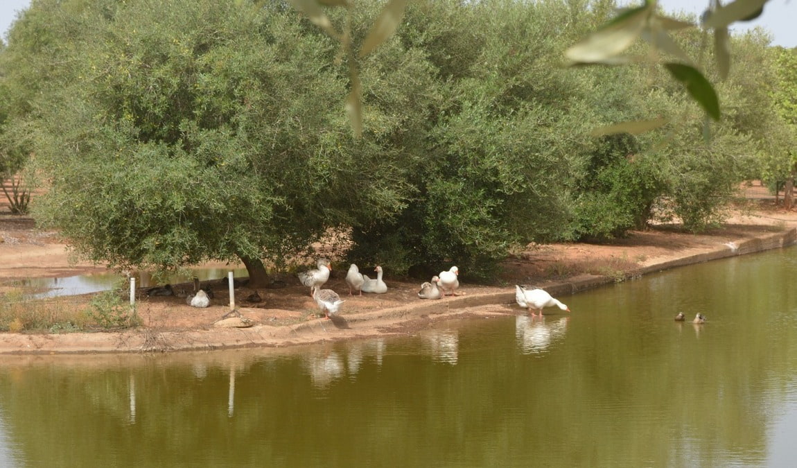 protur natura farm photo 6