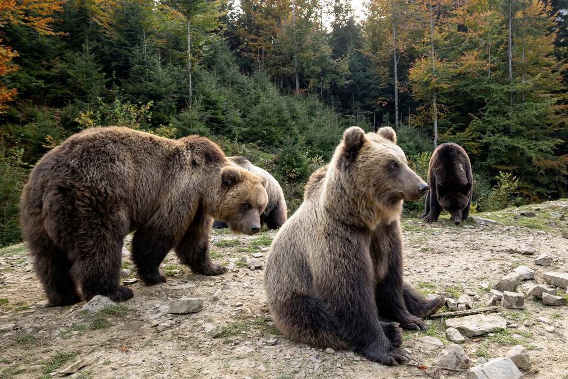 tierpark berlin friedrichsfelde photo 2