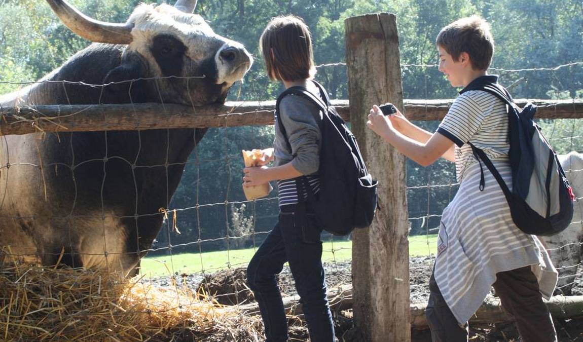 steppentierpark pamhagen photo 2