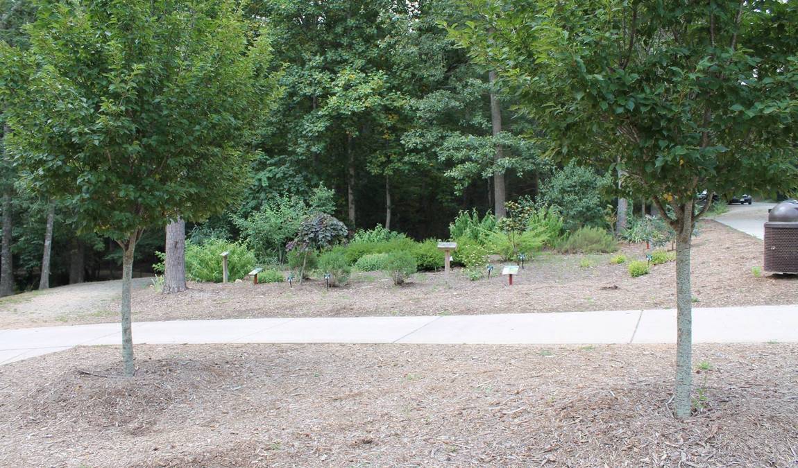 squirrel lake park photo 4