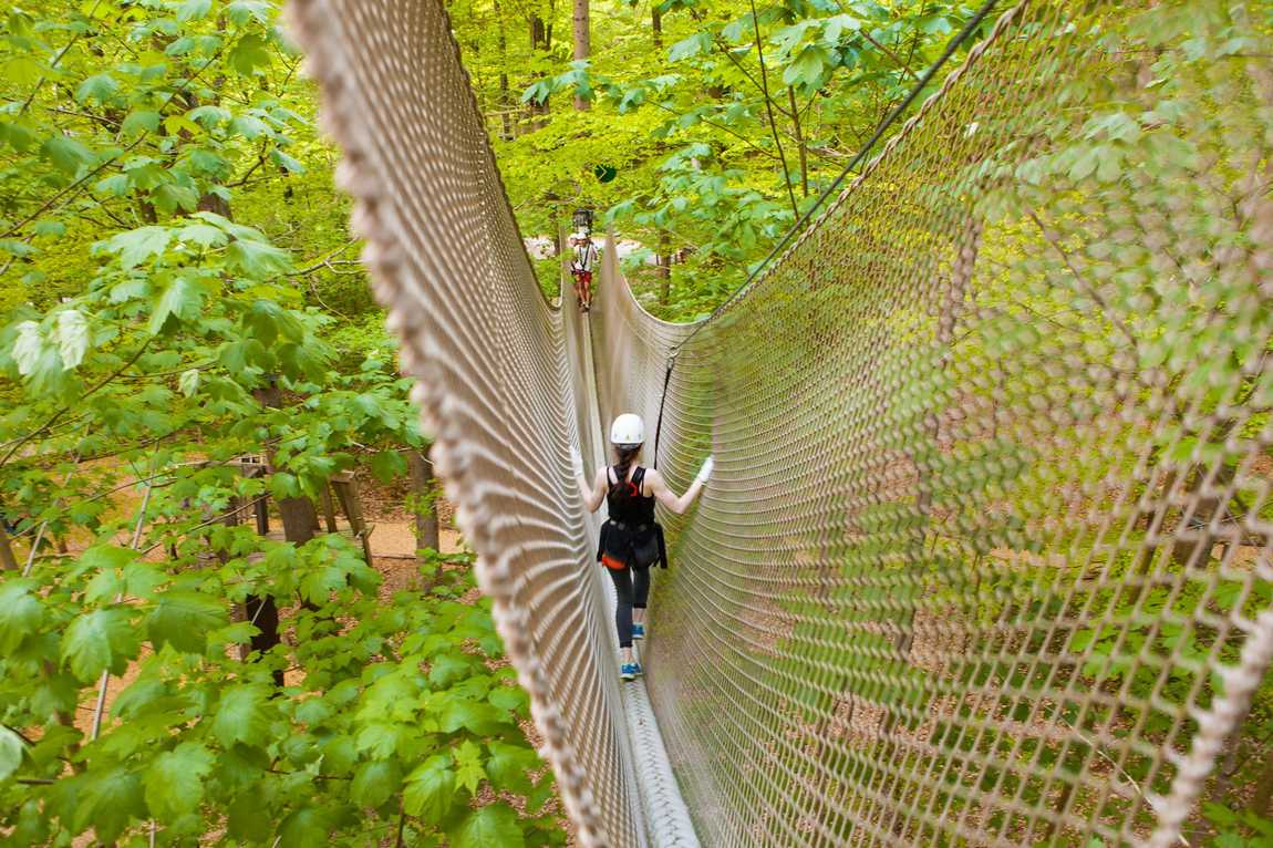 kletterwald hamburg adventure park photo 3