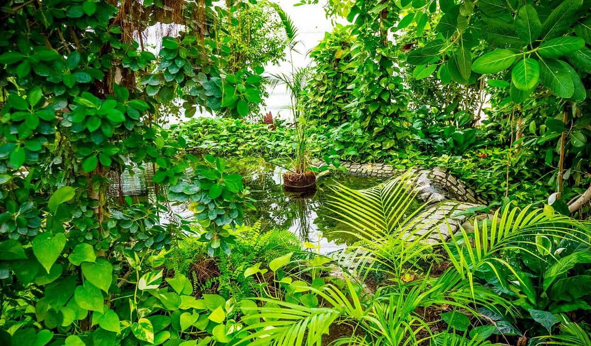 butterfly house in elbauenpark photo 2