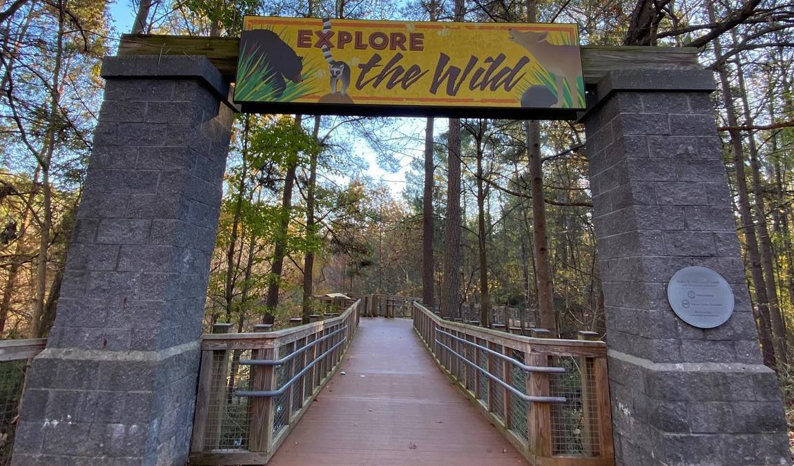 museum of life and science photo 5