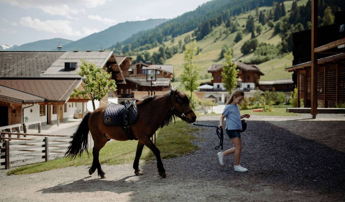 moar gut farm photo 6