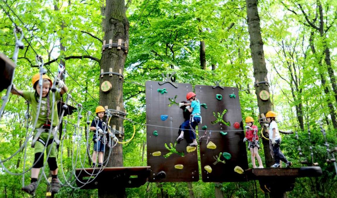 tree2tree climbing park photo 5