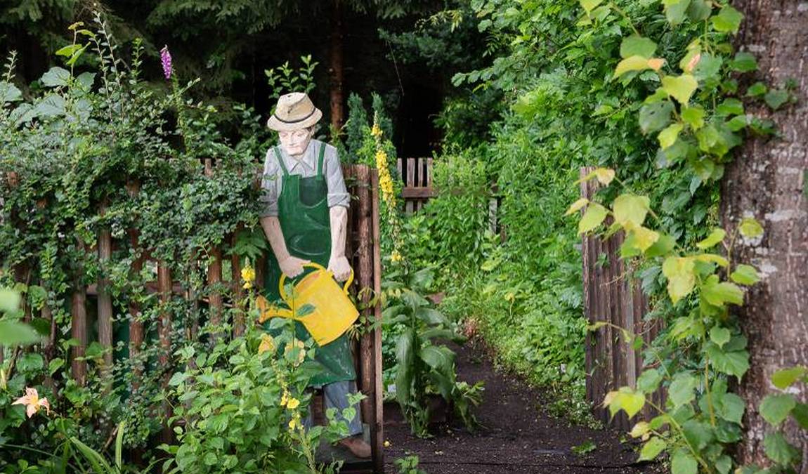 wildpark hollohe photo 4
