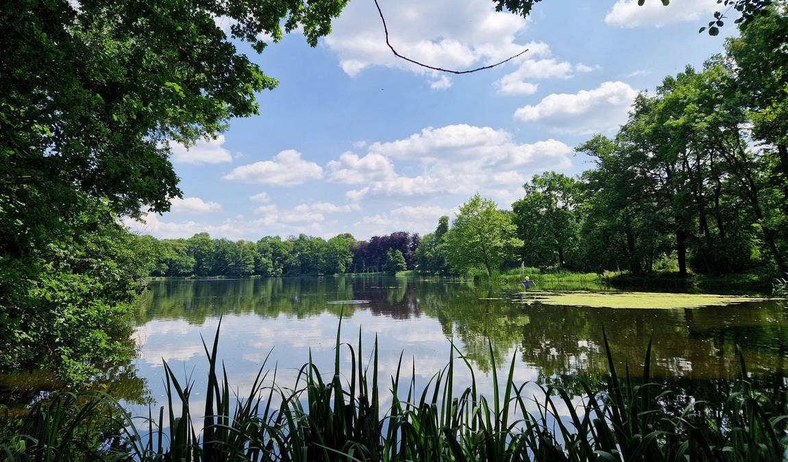 machern castle park and garden photo 7