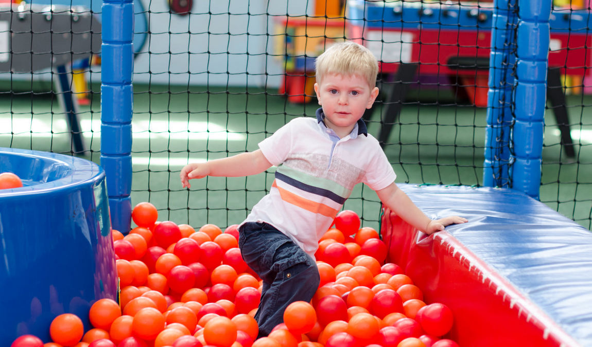 toboga bongo photo 5