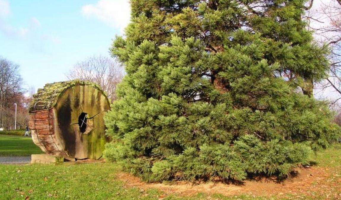 rheinaue leisure park photo 1