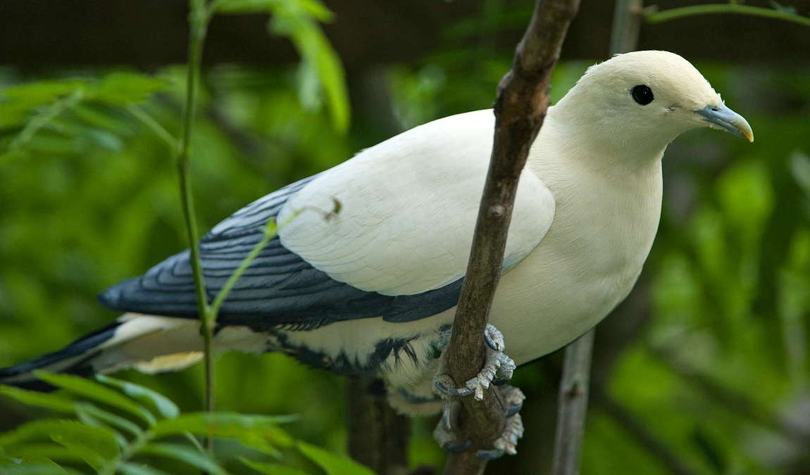 vogelpark turnersee photo 4
