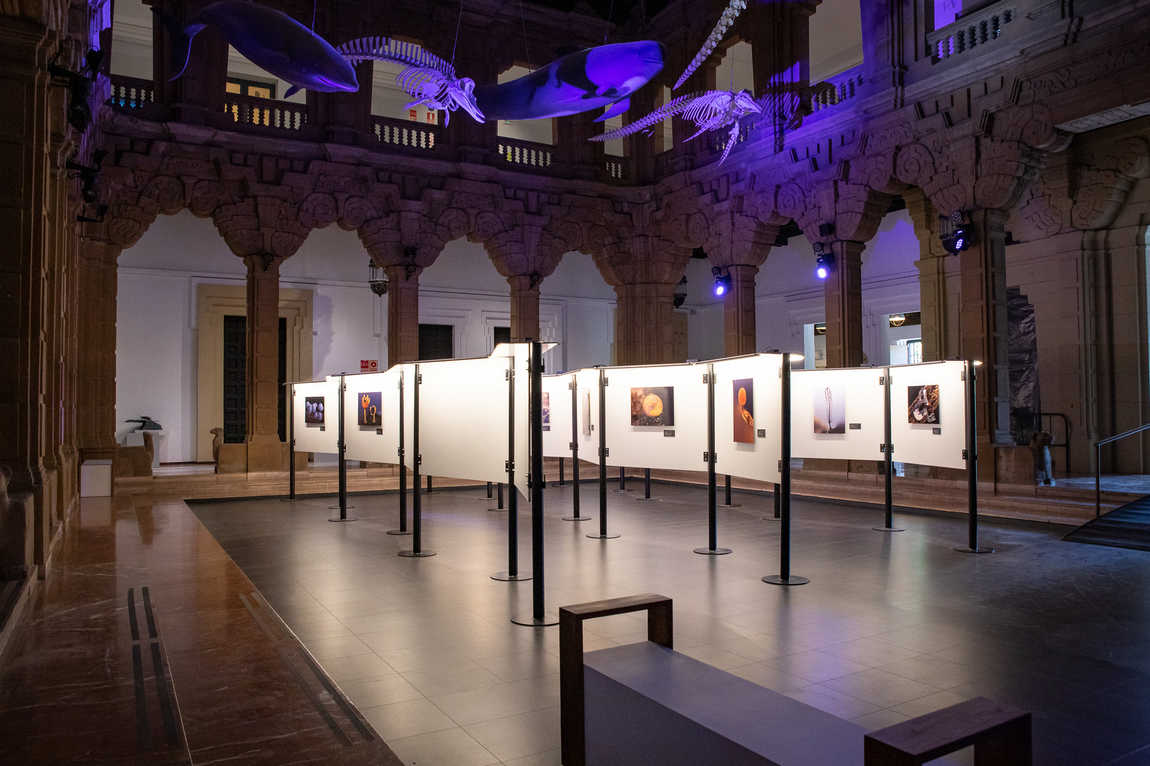 casa de la ciencia - science museum photo 1