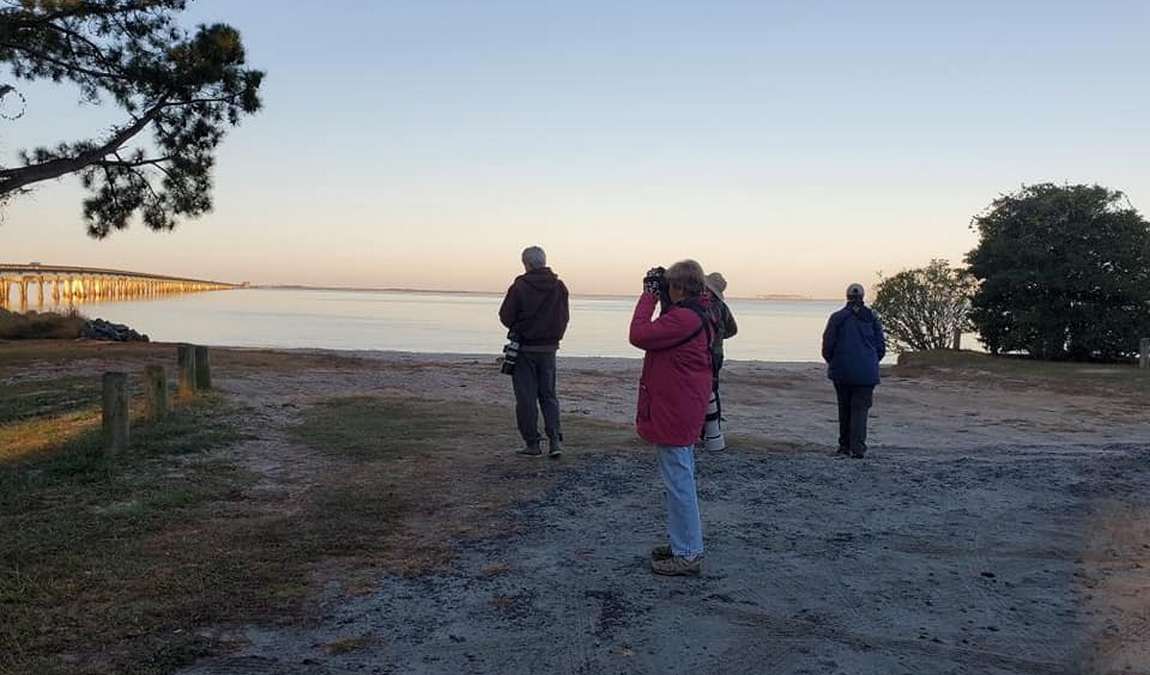 wings over water wildlife festival photo 6