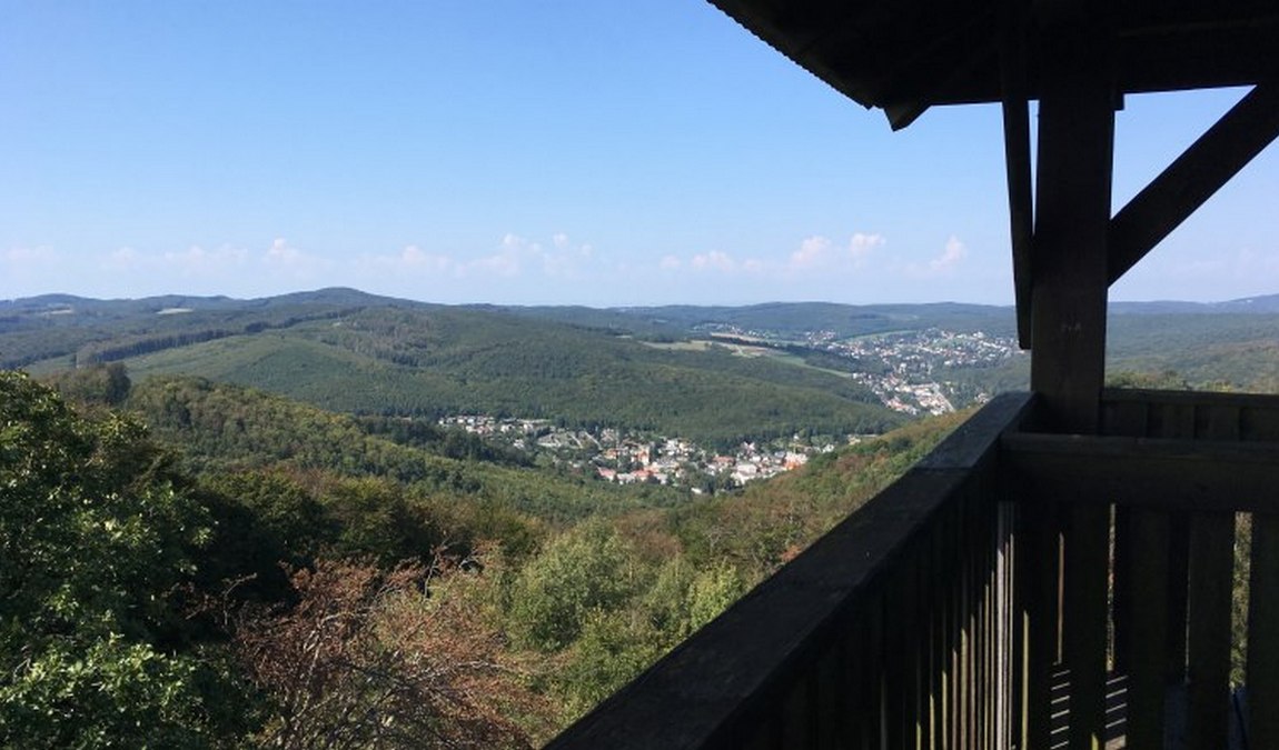 rope park purkersdorf photo 3