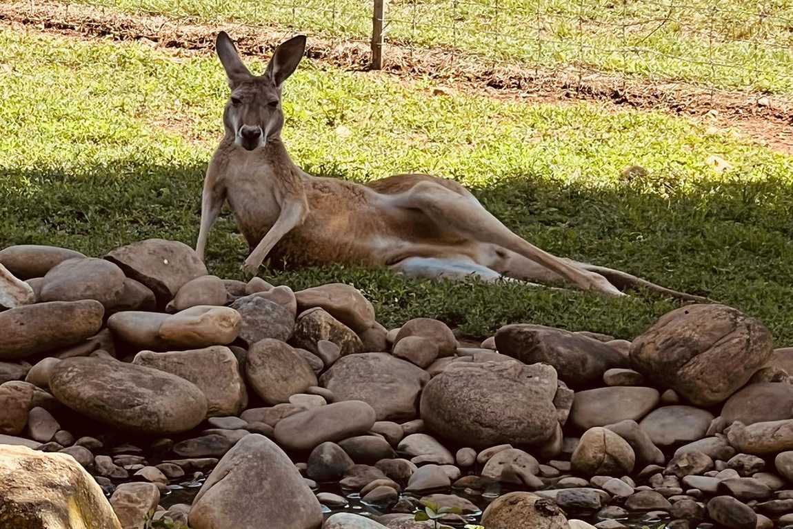 lazy 5 ranch photo 6