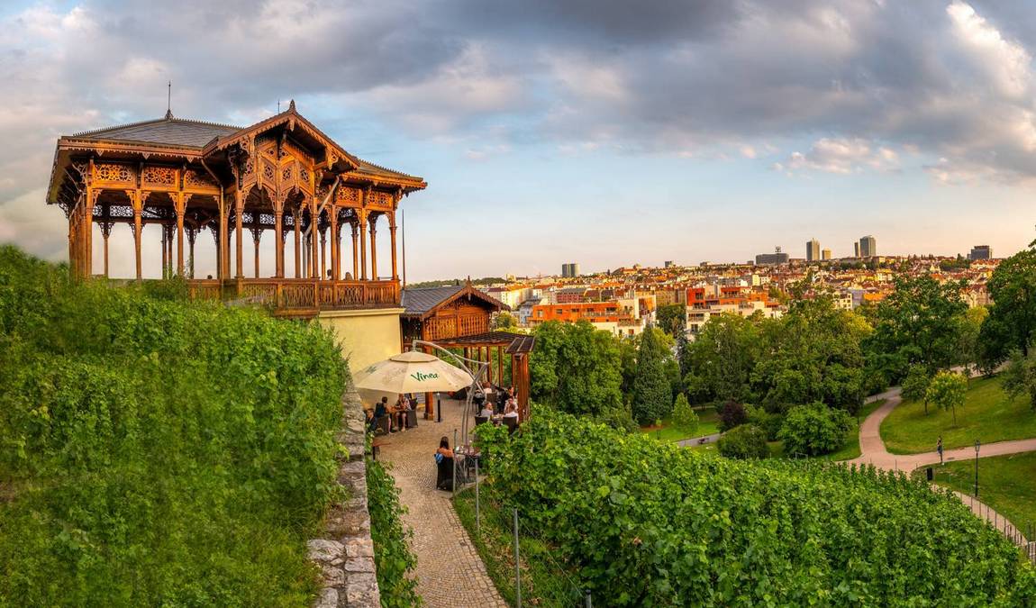 havlicek gardens  photo 4