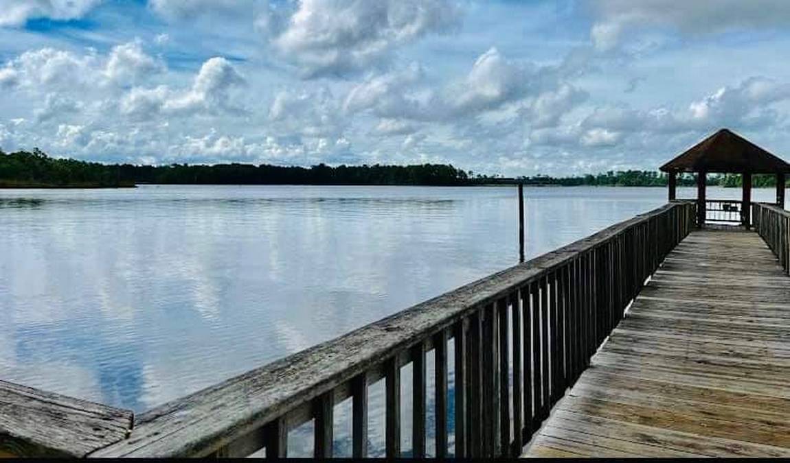 wilson bay park photo 3