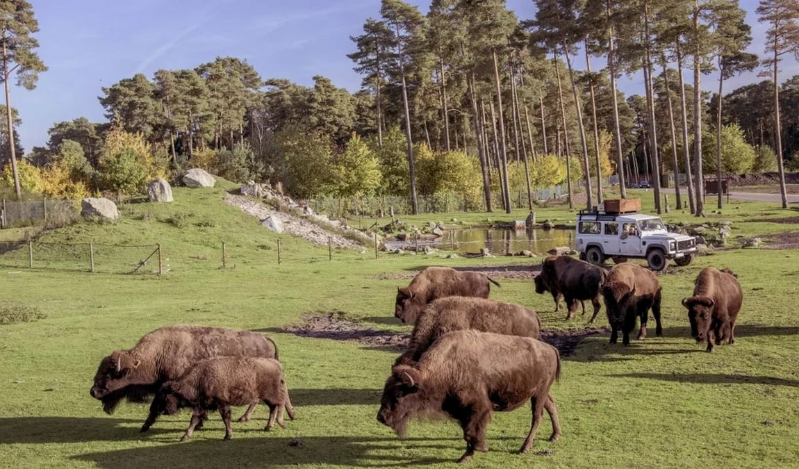 serengeti park hodenhagen photo 5