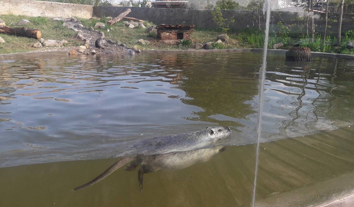 zoopark milicov photo 4