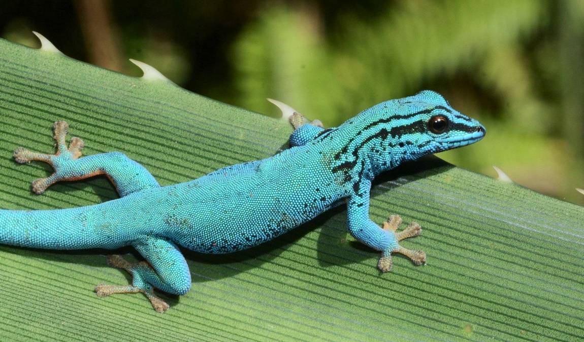 chemnitz zoo photo 8