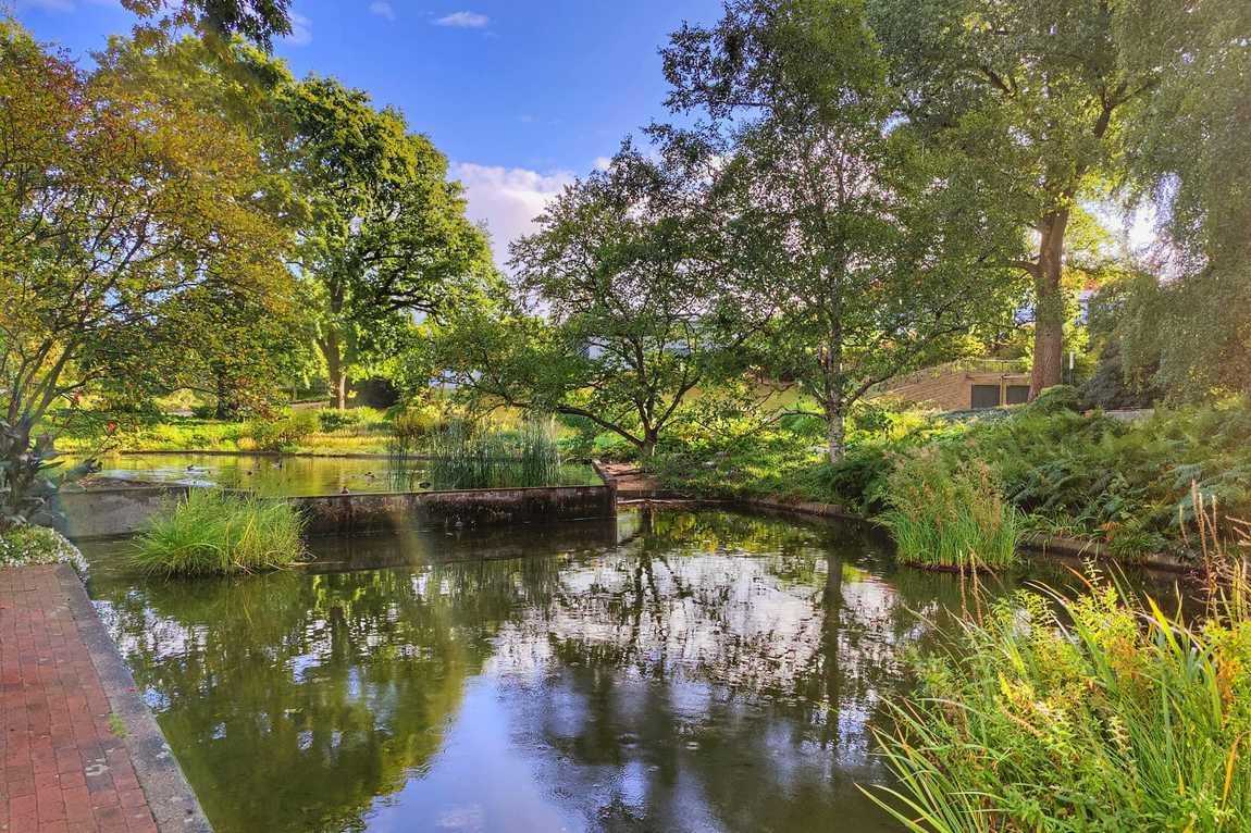 planten un blomen photo 1