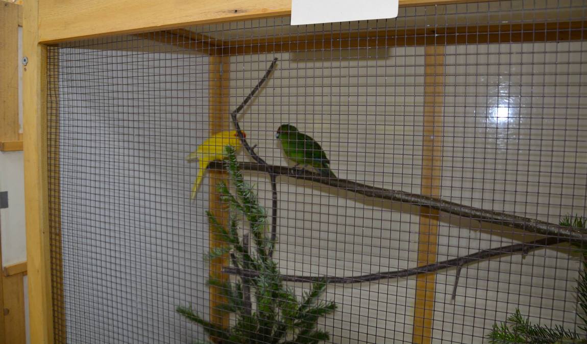 bird park schifferstadt photo 3