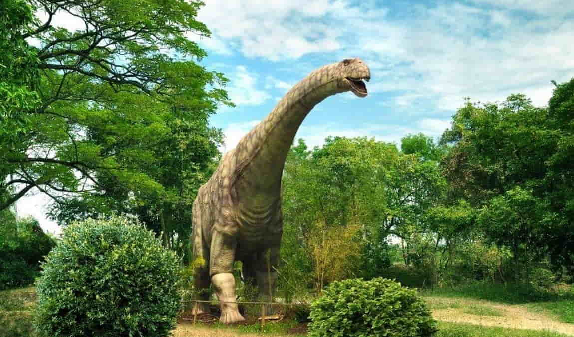 dinopark vyskov photo 7