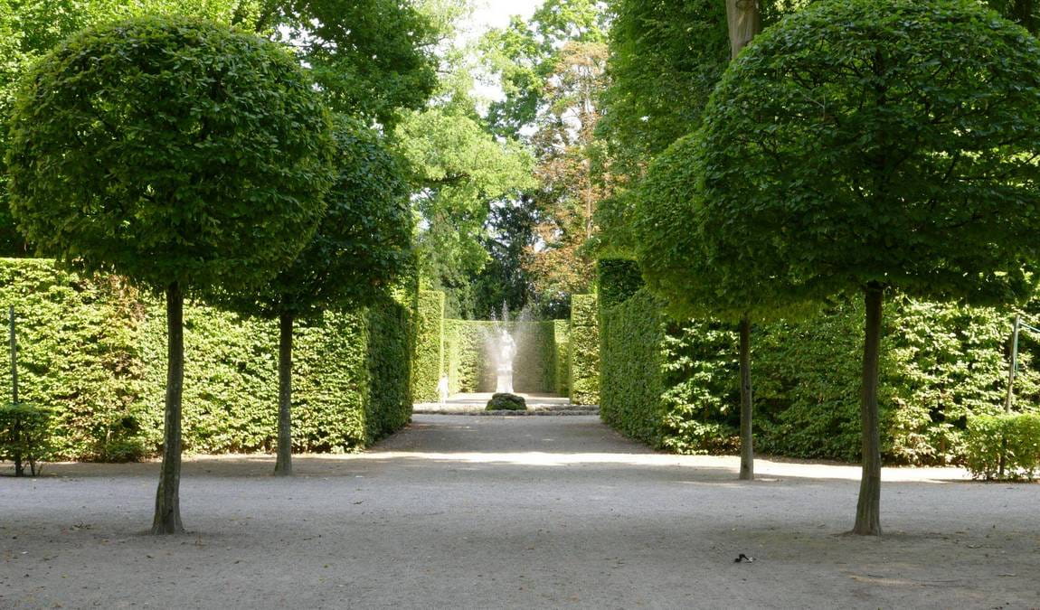 hohenbaden old castle photo 3