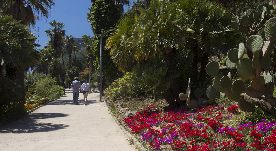 mossen costa i llobera gardens photo 4