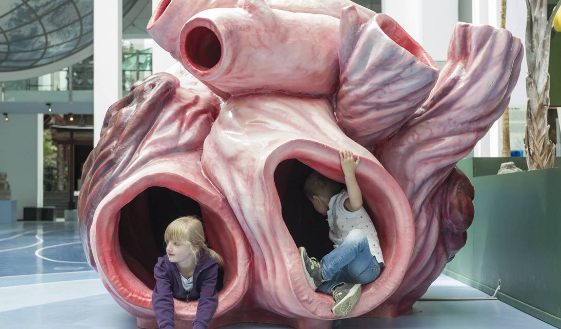 overseas museum photo 13