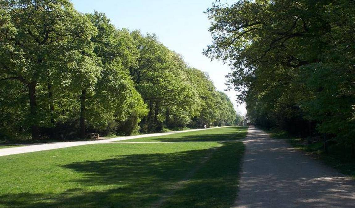 obora hvezda photo 1