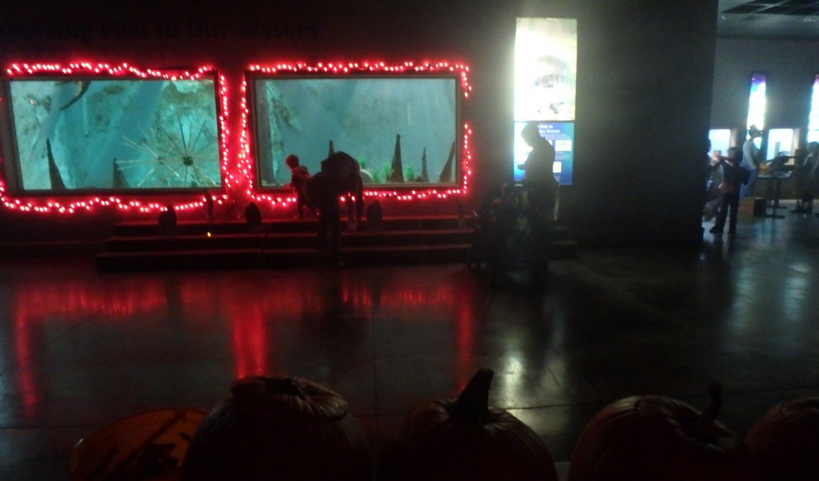 the walter l. stasavich science & nature center photo 2