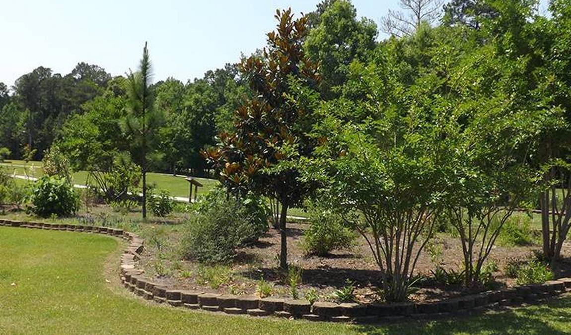 richard ray all-america park  photo 2