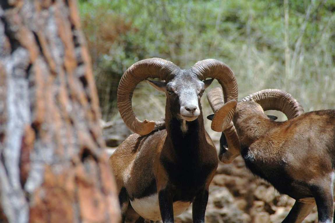 reserva park photo 2