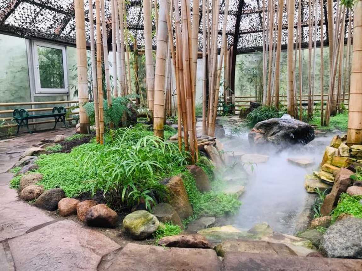 friedrichsruh butterfly garden photo 2